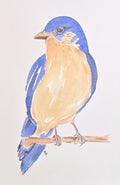 Blue Bird