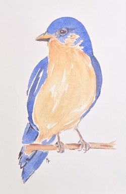 Blue Bird